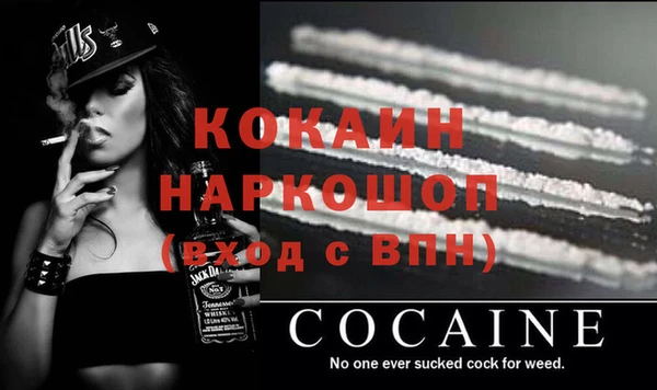 бошки Богданович