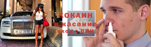 молекула духа Богородицк