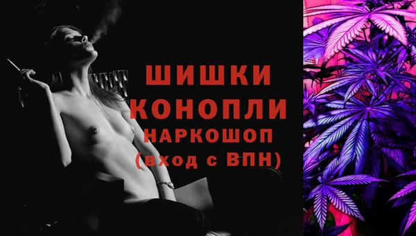 молекула духа Богородицк