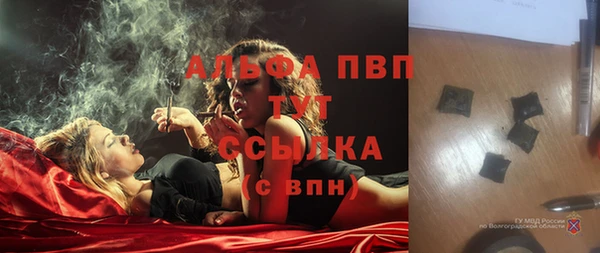 молекула духа Богородицк