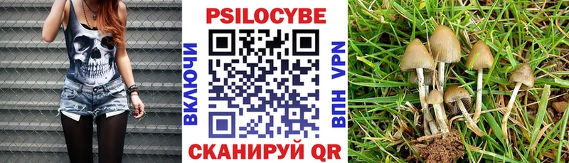 купить наркоту  mega ссылка  Псилоцибиновые грибы Psilocybine cubensis  Горняк 